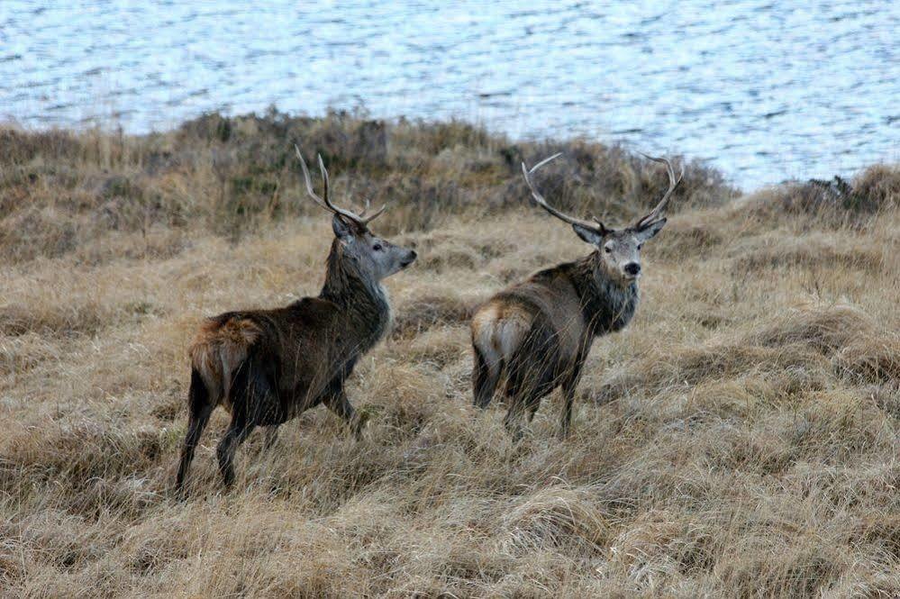 Oak Lodge Bed And Breakfast Overscaig Buitenkant foto